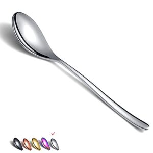 dinner spoons 6 piece, 8.1'' stainless steel tablespoons, soup spoons, dessert spoons, spoons silverware for home, kitchen or restauran,dishwasher safe (silver)