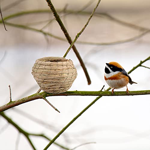 Cabilock 6pcs Straw Bird Cage Nest Grass Hut Woven Birdhouse for Parakeets Hideaway Cockatiels Finch Canary Resting Breeding Shelter