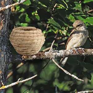 Cabilock 6pcs Straw Bird Cage Nest Grass Hut Woven Birdhouse for Parakeets Hideaway Cockatiels Finch Canary Resting Breeding Shelter