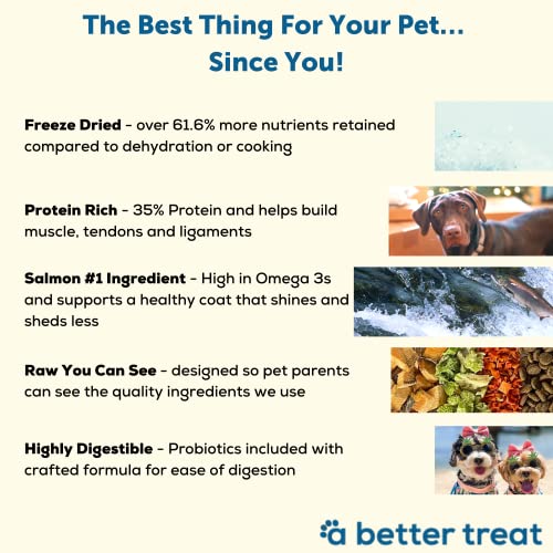 A Better Dog Food | Salmon Dry Dog Food | Raw You Can See | High Protein Kibble + Freeze Dried Raw Dog Food