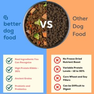 A Better Dog Food | Salmon Dry Dog Food | Raw You Can See | High Protein Kibble + Freeze Dried Raw Dog Food