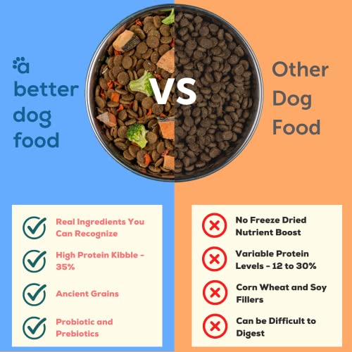 A Better Dog Food | Salmon Dry Dog Food | Raw You Can See | High Protein Kibble + Freeze Dried Raw Dog Food