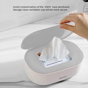 AnyCar Wipes Holder, Household Large Capacity Sealing Tissue Storage Holder, Wall Mount Wipes Mask Storage Box, Desktop Wall Storage Box with Lid (Grey)