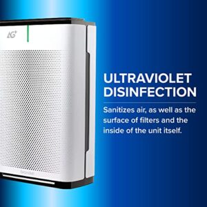 Brondell Pro Air Purifier Clean Air Filter, Bacteria, Mold, Allergens, and Smoke – With AG+ Technology