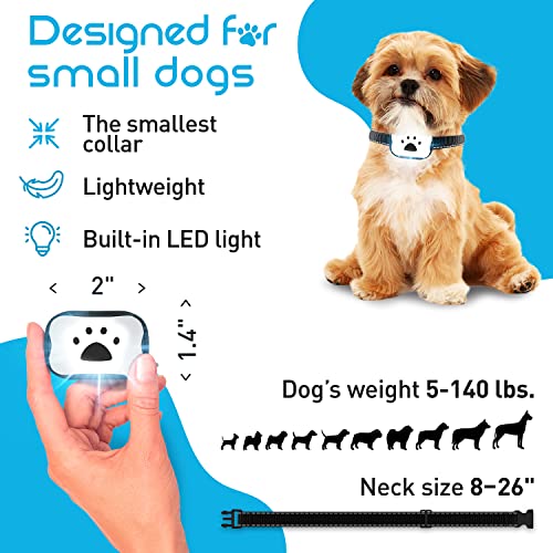 Small Size Dog Training Collar with Remote for Small Dogs with LED Light - Perfect for Small Dogs 5-15lbs - Waterproof & 1000 Feet Range
