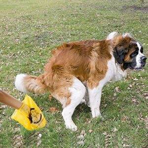 Certified Compostable Dog Poop Bags, 270 Count Eco Friendly and Leakproof Dog Waste Bags, Easy Open 100% Maize Yellow Poop Bag for Dog, 15 Doggy Bags Per Roll (18 rolls)