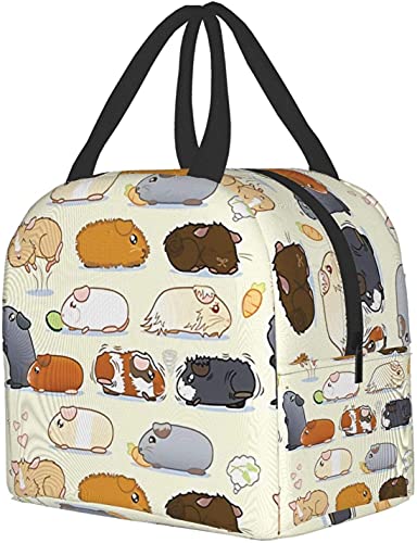 Xuhua Guinea Pig Parade Lunch Bag Boxes Tote Insulated Reusable,Lunch Bag Lunchbox Durable Waterproof Zipper Hangbag Portable for Boys Girls School Supplies