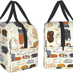 Xuhua Guinea Pig Parade Lunch Bag Boxes Tote Insulated Reusable,Lunch Bag Lunchbox Durable Waterproof Zipper Hangbag Portable for Boys Girls School Supplies