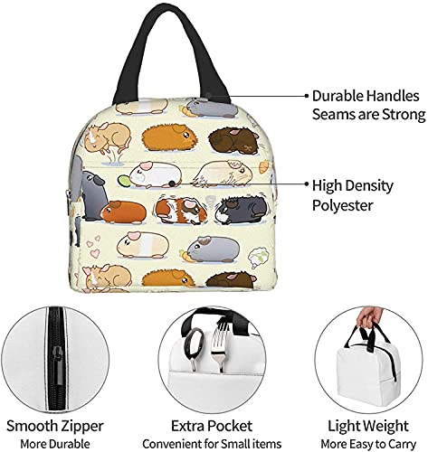 Xuhua Guinea Pig Parade Lunch Bag Boxes Tote Insulated Reusable,Lunch Bag Lunchbox Durable Waterproof Zipper Hangbag Portable for Boys Girls School Supplies