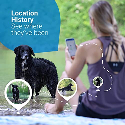 Tractive GPS Tracker for Dogs - Waterproof, GPS Location & Smart Pet Activity Tracker, Unlimited Range, Works with Any Collar (Midnight Blue)