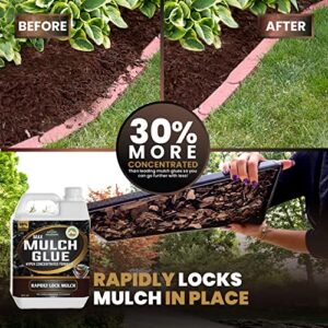 PetraTools Mulch Glue, Mulch Binder Glue, Small Gravel Binder, Landscape Adhesive, Small Gravel Stabilizer, Glue for Landscape, Small Pebble Glue, Landscape Lock (32oz)