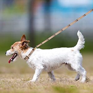 3 PCS Dog Collars for Small Dogs Puppy Collar and Leash Set Dog Bow Tie with Bell Puppy Bandana Leather Dog Collar for Small Dogs Puppies and Cats(Beige)