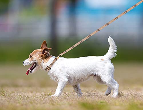 3 PCS Dog Collars for Small Dogs Puppy Collar and Leash Set Dog Bow Tie with Bell Puppy Bandana Leather Dog Collar for Small Dogs Puppies and Cats(Beige)