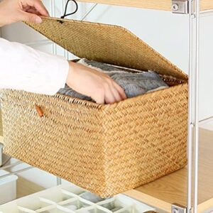 Generic 2pcs Woven Storage Boxes with Lid Seaweed Storage Case Closet Organizer Containers for Bedroom Office, ZMMPI11DL10CT331I6V0DT, 23X13X8CM