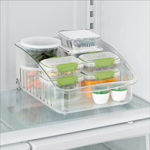 YouCopia RollOut Fridge Drawer 10", Clear BPA-Free Refrigerator Bin Organizer and Storage with Adjustable Dividers