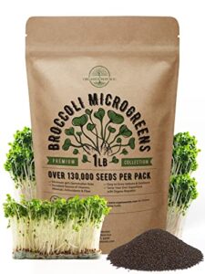 broccoli sprouting & microgreens seeds - non-gmo, heirloom sprout seeds kit in bulk 1lb resealable bag for planting & growing microgreens in soil, coconut coir, garden, aerogarden & hydroponic system.