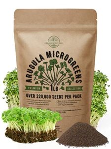 arugula sprouting & microgreens seeds - non-gmo, heirloom sprout seeds kit in bulk 1lb resealable bag for planting & growing microgreens in soil, coconut coir, garden, aerogarden & hydroponic system.