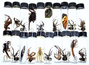 bicbugs mixed lot of assorted specimens in vials wet specimens (1)
