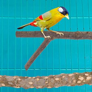 4 PCS Bird Perch Natural Wood Stands for Parrots Cage Accessories Standing Branches for Parrots Gnawing Chewing Wooden Rod Perches Bifurcation Nature Vines for Budgies 25cm Bird Toy Cage Decoration