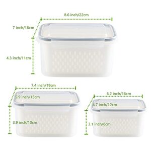 Food Storage Container,3 Piece Set, Vegetable Fruit Storage Container, Built-in Removable Drain Basket, Stackable Storage Container for Fridge