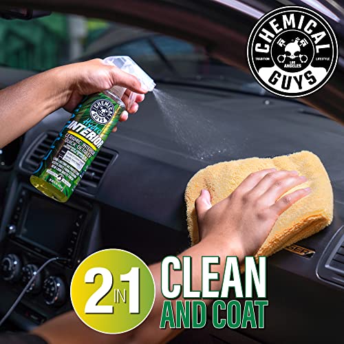 Chemical Guys SPI22716 HydroInterior SiO2 Ceramic Interior Quick Detailer and Protectant for Interiors, Furniture, Apparel, and More (Works on Plastic, Vinyl, Imitation Leather, and More), 16 fl oz