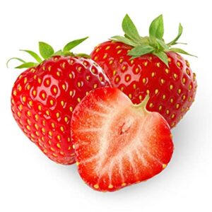 (2000 Seeds)Perpetual Strawberry Four Seasons Strawberry Seeds for Planting04