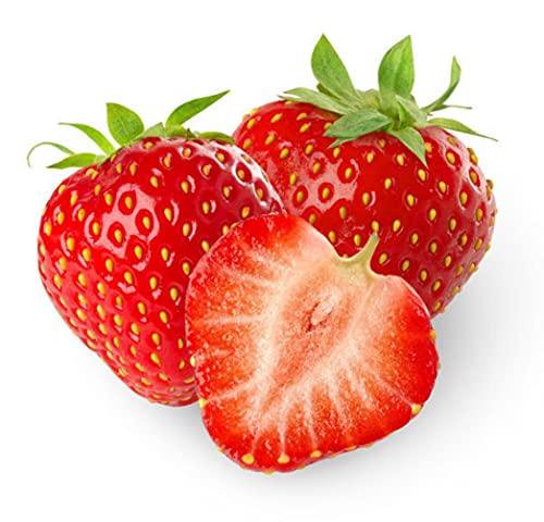 (2000 Seeds)Perpetual Strawberry Four Seasons Strawberry Seeds for Planting04