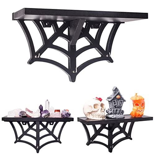 CEFRECO Spider Web Floating Shelf - Gothic Halloween Hanging Shelf with Hooks for Wall Oddities and Curiosities - Black Spooky Goth Wall Decor for Kitchen and Home - Crystal Display Shelf for Stones