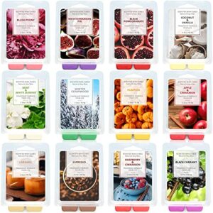 scented wax melts, wax cubes, scented soy wax melts for wax warmer, 12 x 2.5 oz, 12 home fragrance scents