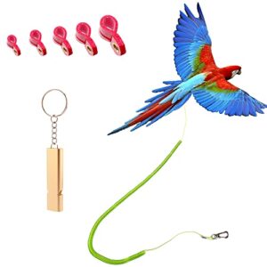 parrot bird harness leash anti-bite outdoor flying training rope with 5pcs different sizes of soft foot loops and training whistle(upgraded version of ankle ring)