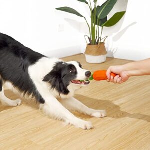 Dog Squeaky Chew Toys for Aggressive Chewers, Rubber Carrot Dog Toys for Training and Cleaning, Durable Interactive Tough Dog Toy for Puppy Medium Large Dogs