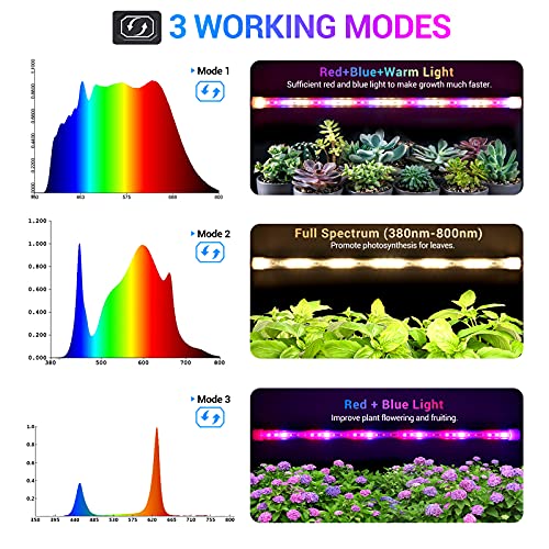 LED Grow Lights Strips for Indoor Plants, 3 Working Modes & 10 Dimmable Levels Plant Lights with Auto Cycle Timer 3/9/12Hrs, 36W Full Spectrum DIY Growing Lamps for Seedings Hydroponics, 6 Strips