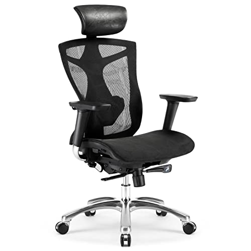 SIHOO Ergonomic Office Chair with 4D Arms, 2-Way Lumbar Support, Depth Adjustable Seat, PU Headrest, Height Adjustable Backrest, High Back Computer Desk Chair (Black)