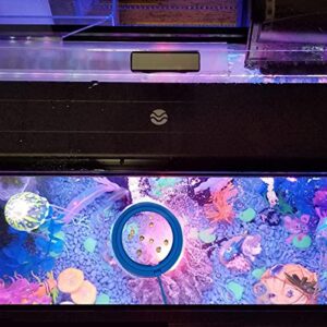 zhuohai Fish Feeding Ring Floating Food Feeder Circle with Suction Cup Easy to Install Aquarium (Round)