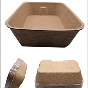 Twlead Disposable Cat Litter Box (5 Pack of Trays) Eco Friendly 100% Recycled Paper Cat Tray,16.14 X11.81X3.94 Inch (Brown)