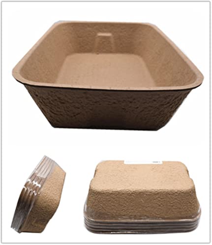 Twlead Disposable Cat Litter Box (5 Pack of Trays) Eco Friendly 100% Recycled Paper Cat Tray,16.14 X11.81X3.94 Inch (Brown)