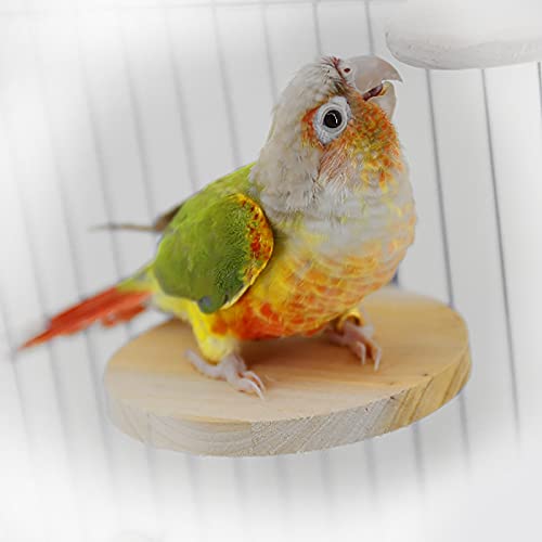 3 Pack Bird Perch Platform Round Wooden Playground Board Wood Stand Rack Suit Budgie Toys Bird Tree Perches for Parrot Parakeet Cockatiel Conure Hamster Gerbil Rat