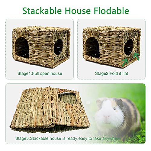 BWOGUE Large Grass House for Guinea Pigs,Hand Woven Straw Hut Foldable Small Animal Play Hideaway Bed with Double Openings Playhouse for Bunny Guinea Pig Chinchilla Ferret