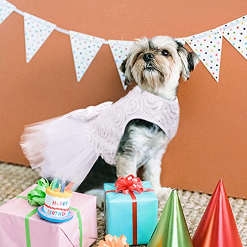 ASENKU Dog Dress Pet Wedding Dress Princess Lace Puppy Birthday Party Outfit Formal Apparel Girl for Small Medium Dogs Cats (XX-Small, White)