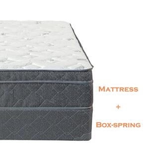Treaton 13-Inch Extra Firm Foam Encased Eurotop Hybrid Mattress & 8" Wood Traditional Box Spring/Foundation Set, Full, Black