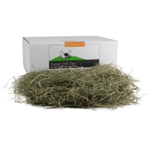 rabbit hole hay ultra premium, hand packed coarse orchard grass for your small pet rabbit, chinchilla, or guinea pig (10lb)