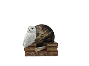 world of wonders spells & potions owl coasters set | decorative white owl wizard school decor | absorbent drink coasters