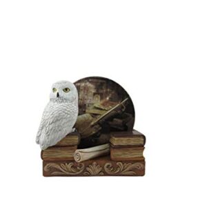 World of Wonders Spells & Potions Owl Coasters Set | Decorative White Owl Wizard School Decor | Absorbent Drink Coasters