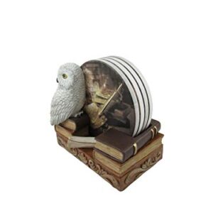 World of Wonders Spells & Potions Owl Coasters Set | Decorative White Owl Wizard School Decor | Absorbent Drink Coasters