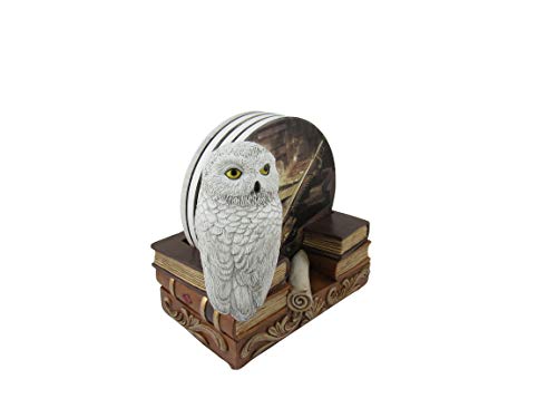 World of Wonders Spells & Potions Owl Coasters Set | Decorative White Owl Wizard School Decor | Absorbent Drink Coasters