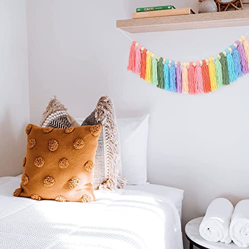 Pastel Tassel Garland, Colorful Rainbow Tassel Wall Hanging Decor with Wood Bead Colorful Garland for Girls Bedroom Wall Classroom Nursery Party Kids Room Birthday Baby Shower Decor (Pastel)