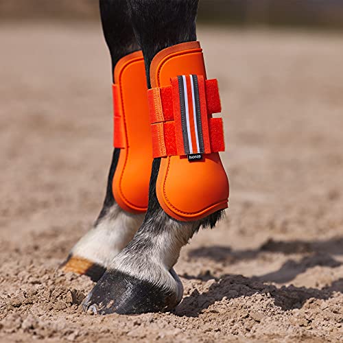 HORZE Adepto Open Front Tendon Boots | Durable Shell with Neoprene Lining - Coral Gold - Horse
