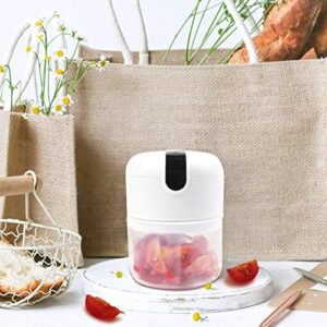 KUFUNG Electric Mini Garlic Chopper 250ML,Wireless Portable Mini Food Chopper with USB Charging,Onion Chopper Electric Mini Chopper for Garlic/Onions/Vegetables/Salad/Pepper (White)