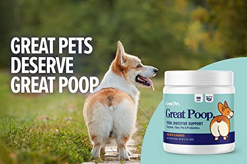 Great Poop Probiotics for Dogs - A Fiber for Dogs Supplement with Dog Probiotics and Digestive Enzymes for a Healthy Gut, Firm Stool & Diarrhea Relief - Chicken Flavored Pet Soft Chews with Prebiotics