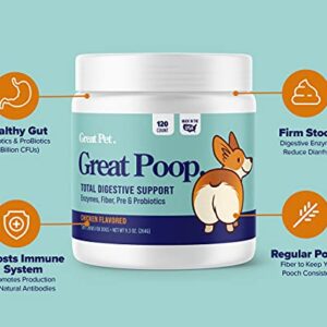 Great Poop Probiotics for Dogs - A Fiber for Dogs Supplement with Dog Probiotics and Digestive Enzymes for a Healthy Gut, Firm Stool & Diarrhea Relief - Chicken Flavored Pet Soft Chews with Prebiotics